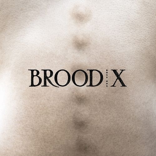 Foto van Brood x - lp (5051083116107)