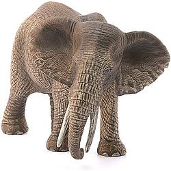 Foto van Schleich afrikaanse olifant vrouwtje 14761