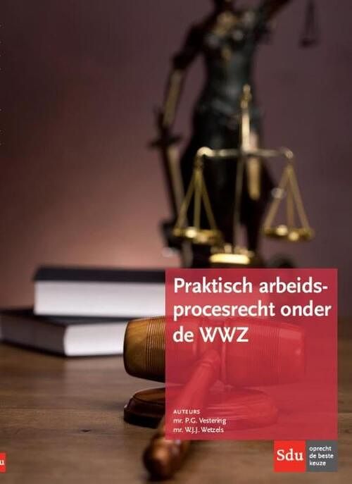 Foto van Praktisch arbeidsprocesrecht onder de wwz - p.g. vestering, w.j.j. wetzels - paperback (9789012395724)