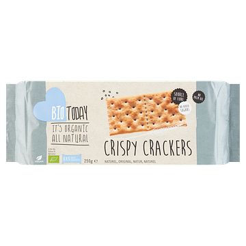 Foto van Biotoday crispy crackers naturel 40 stuks 250g bij jumbo