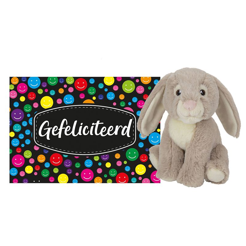 Foto van Pluche knuffel cadeau konijn 19 cm met a5-size gefeliciteerd wenskaart - knuffeldier