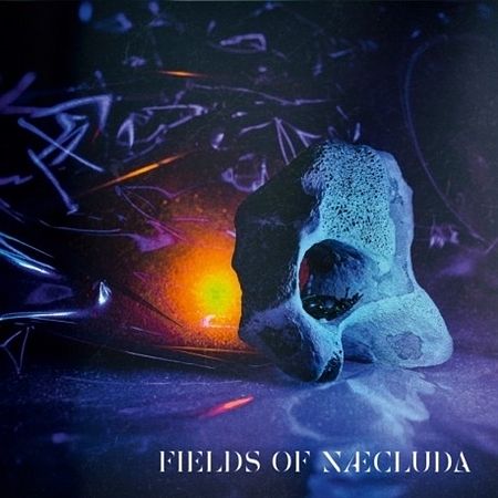 Foto van Fields of naeclude - cd (3760301210634)