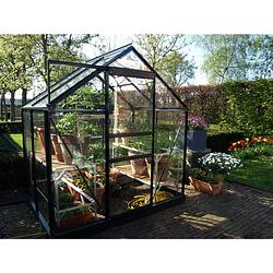 Foto van Royal well popular 46, groen, tuindersglas