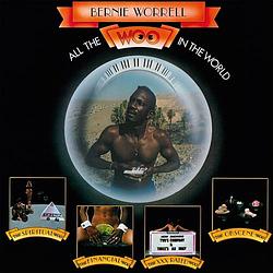 Foto van All the woo in the world - lp (8719262023956)