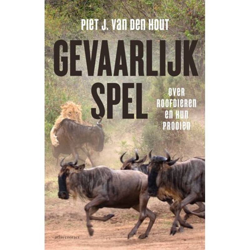 Foto van Gevaarlijk spel