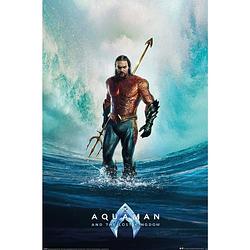 Foto van Poster aquaman and the lost kingdom 61x91,5cm