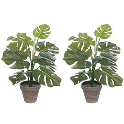 Foto van 2x groene monstera/gatenplant kunstplanten 48 cm in grijze pot - kunstplanten