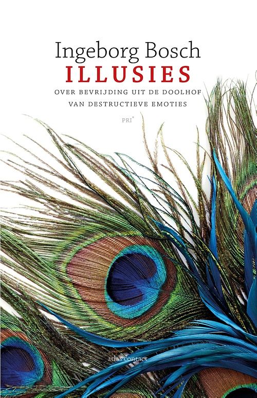 Foto van Illusies - ingeborg bosch - ebook