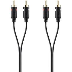 Foto van Belkin f3y098bt2m cinch audio aansluitkabel [2x cinch-stekker - 2x cinch-stekker] 2.00 m zwart vergulde steekcontacten