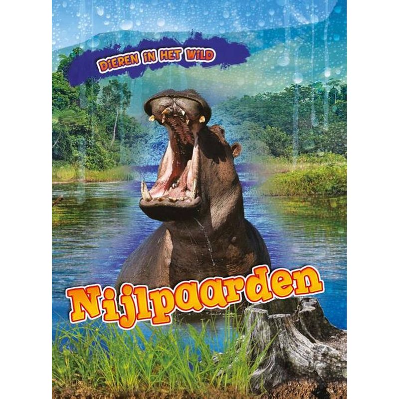 Foto van Nijlpaarden