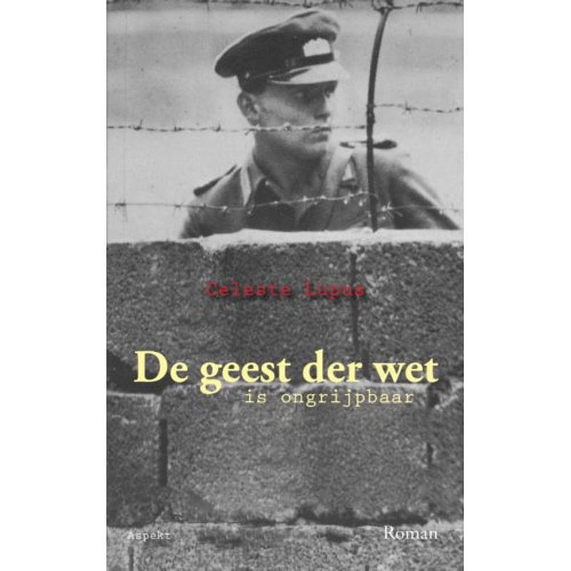 Foto van De geest der wet