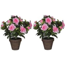 Foto van 2x groene azalea kunstplanten roze bloemen 27 cm in pot - kunstplanten