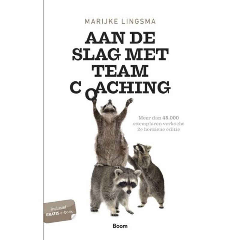 Foto van Aan de slag met teamcoaching