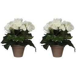 Foto van 2x stuks witte begonia kunstplant 25 cm in grijze pot - kunstplanten