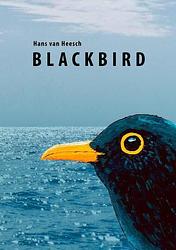 Foto van Blackbird - hans van heesch - paperback (9789462472839)