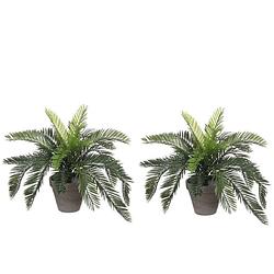 Foto van 2x groene cycaspalm kunstplanten 37 cm in zwarte pot - kunstplanten/nepplanten