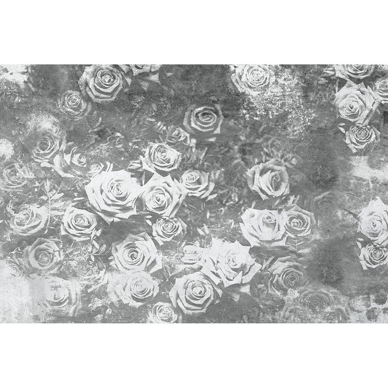 Foto van Dimex roses abstract ii fotobehang 375x250cm 5-banen