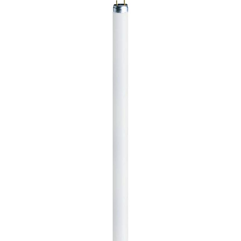 Foto van Osram tl-lamp energielabel: g (a - g) g5 8 w koudwit 840 buis (ø x l) 16 mm x 288 mm 1 stuk(s)