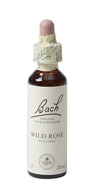 Foto van Bach flower remedies hondsroos 37