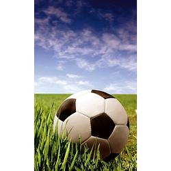 Foto van Dimex soccer ball vlies fotobehang 150x250cm 2-banen
