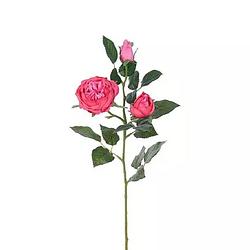 Foto van Buitengewoon de boet - engelse roos tak beauty 64 cm kunstplant