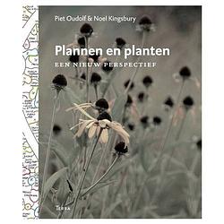 Foto van Plannen en planten