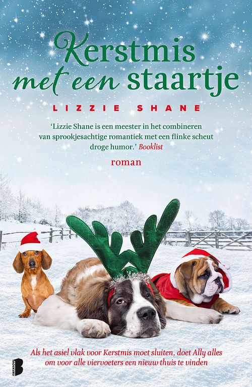 Foto van Kerstmis met een staartje - lizzie shane - ebook (9789402315967)