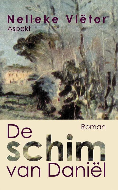 Foto van De schim van daniel - nelleke vietor - ebook