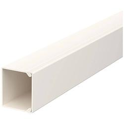 Foto van Obo bettermann 6026826 kabelgoot (l x b x h) 2000 x 30 x 30 mm crème-wit 1 stuk(s)