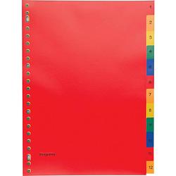 Foto van Pergamy tabbladen, ft a4, 23-gaatsperforatie, pp, geassorteerde kleuren, set 1-12 45 stuks