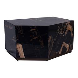 Foto van Ptmd rayn petrified wood black coffeetable m