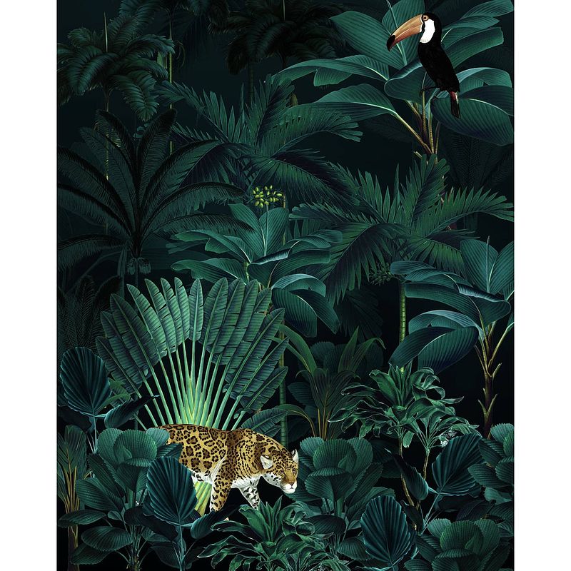 Foto van Komar jungle night vlies fotobehang 200x250cm 4-banen