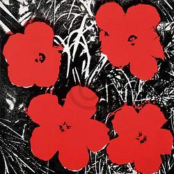 Foto van Andy warhol - flowers red 1964 kunstdruk 91x91cm