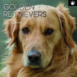 Foto van Golden retriever kalender 2023