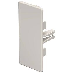 Foto van Obo bettermann 6162614 eindstuk (b x h) 40 mm x 90 mm crème-wit 10 stuk(s)