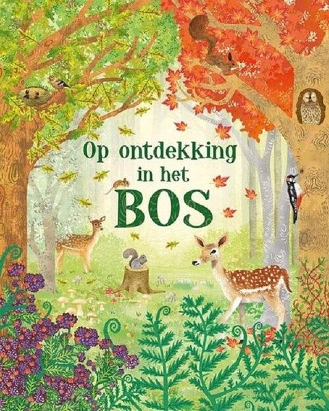 Foto van Boek op ontdekking in het bos