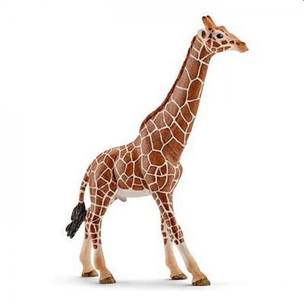 Foto van Schleich giraffe mannetje 14749