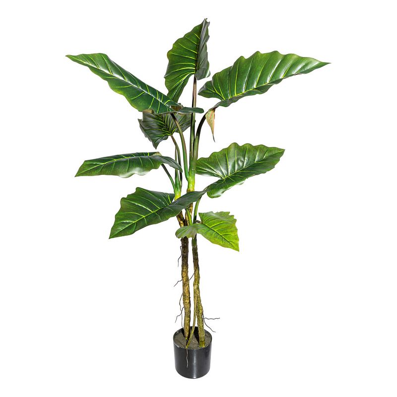 Foto van Kopu® kunstplant colocasia 140 cm - 8 bladeren - in zwarte pot