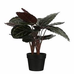 Foto van Calathea roseopicta kunstplant groen in keramieken pot h60 x d40 cm - kunstplanten/nepplanten met bloemen