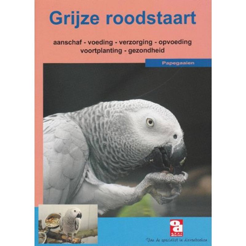 Foto van De grijze roodstaartpapegaai