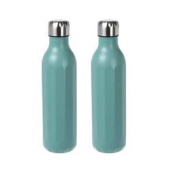 Foto van 2x stuks rvs thermosflessen / isoleerflessen voor onderweg 500 ml aqua groen - thermosflessen