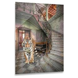 Foto van Ter halle® glasschilderij 80 x 120 cm tijger met trap