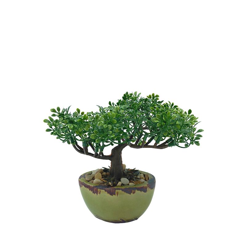 Foto van Bonsai mini kunstplant 19cm