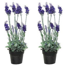 Foto van 2x stuks lavendel kunstplant in pot - paars - d18 x h38 cm - kunstplanten