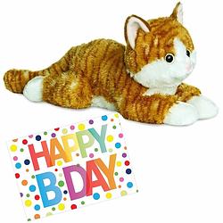 Foto van Pluche knuffel kat/poes rood 30 cm met a5-size happy birthday wenskaart - knuffel huisdieren