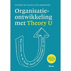 Foto van Organisatieontwikkeling met theory u