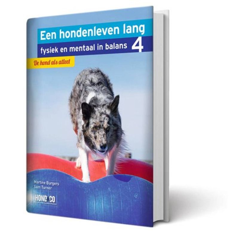 Foto van De hond als atleet - een hondenleven lang fysiek