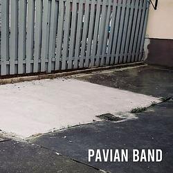 Foto van Pavian band - cd (8851507031446)