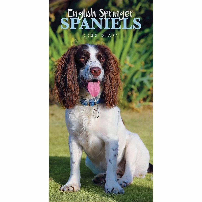 Foto van Engelse springer spaniel pocket agenda 2023