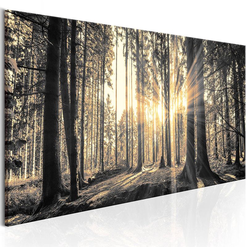 Foto van Artgeist forest sun canvas schilderij